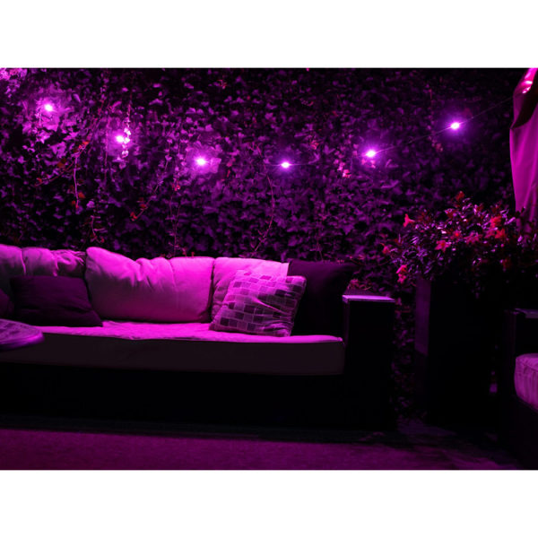 COLOR STRING LIGHTS A