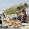 PICNIC FOR 4 C
