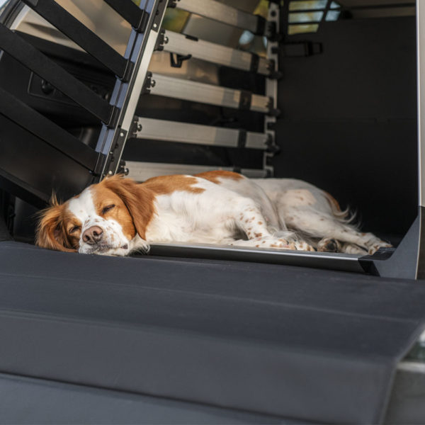 THULE ALLAX CAGE CHIEN ANIMAL TRASNPORT