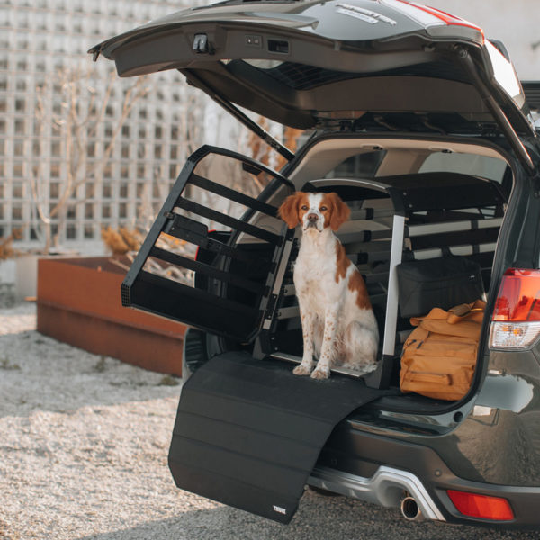 THULE ALLAX – Image 9
