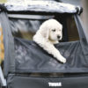 THULE CHARIOT COURIER – Image 6