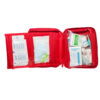 Usage : Trousse de secours très complète pour répondre aux besoins du quotidien en général Composition : 65 produits de soins qualitatifs intégrés Dimensions : L 15 cm