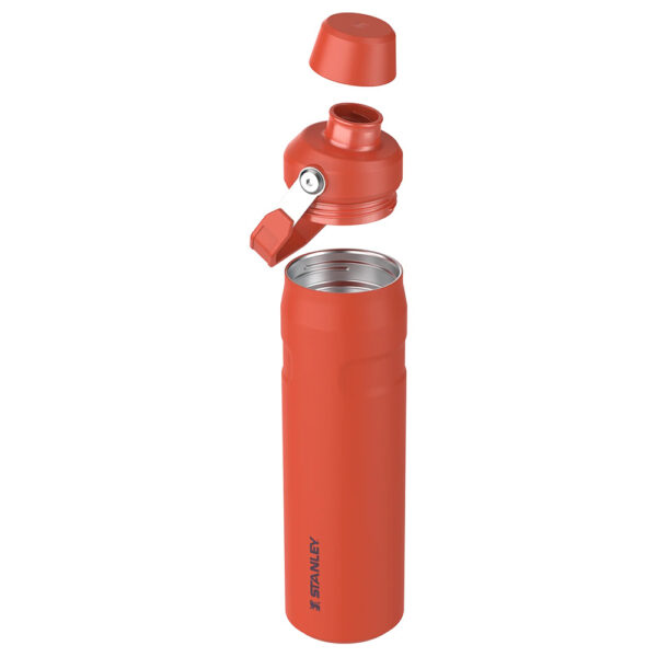 STANLEY The Aerolight™ IceFlow™ Water Bottle Fast Flow 0.6L - Tigerlily – Image 2