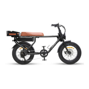Dirori, votre vélo électrique pour votre quotidien en mode cool a l'Anse vata.