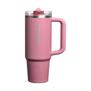 STANLEY The Quencher ProTour Flip Straw Tumbler | 30 OZ Port Shimmer
