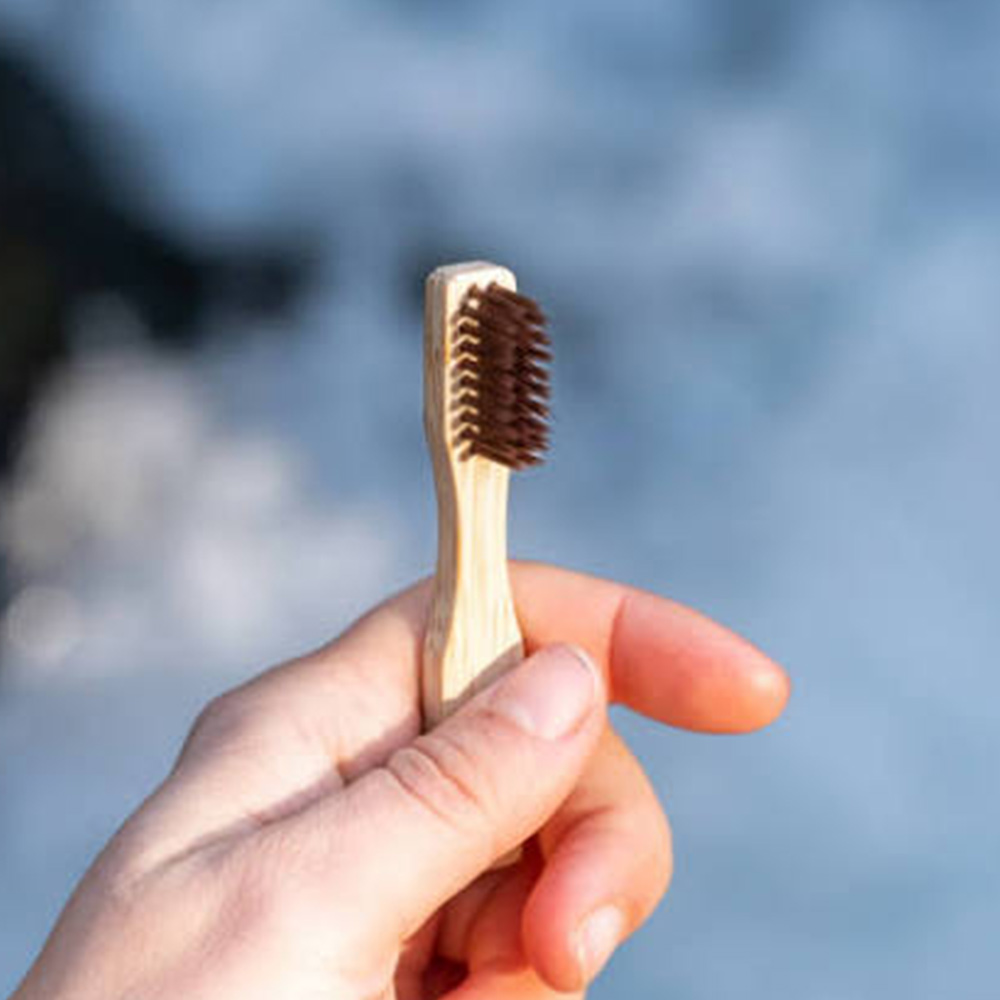 Pharmavoyage - Brosse a dent de voyage - boite carton – Image 3