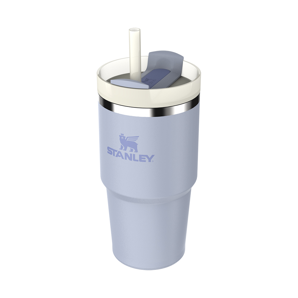 STANLEY The Quencher ProTour Flip Straw Tumbler 0.6L Dew Drop